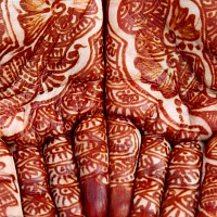 Henna pero - Originál